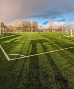 Artificial Grass