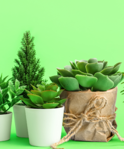 Artificial Decorative Plants