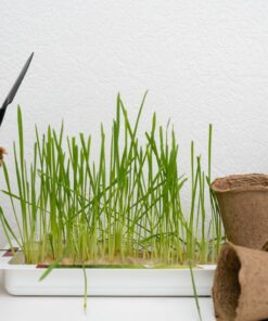 Grass Accessories
